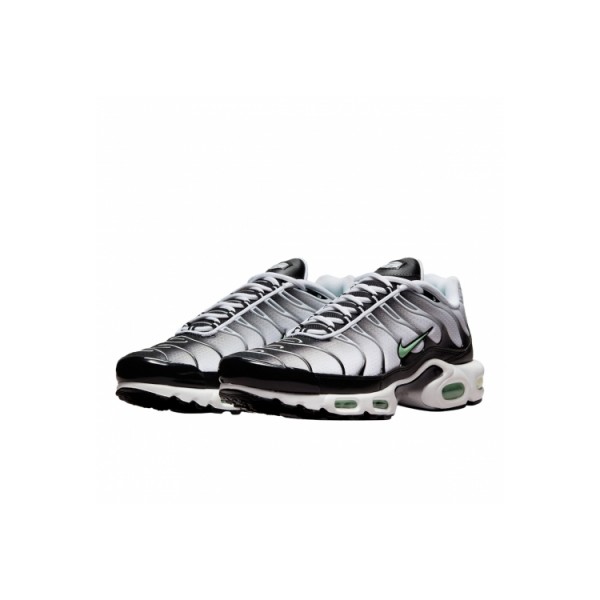 Nike Air Max Plus Black Black Mint Green DH4776-100