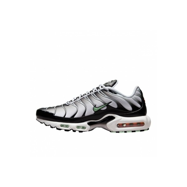 Nike Air Max Plus Black Black Mint Green DH4776-100