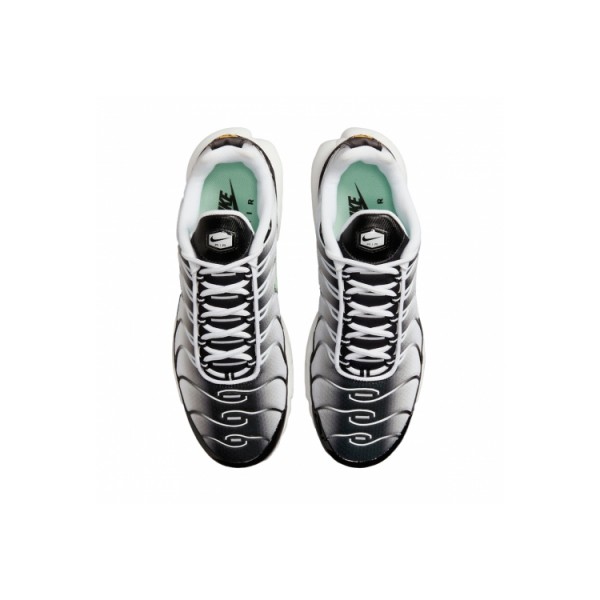 Nike Air Max Plus Black Black Mint Green DH4776-100