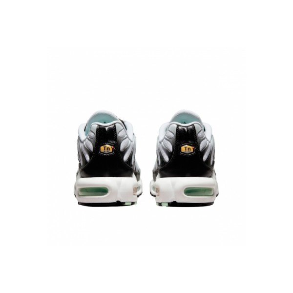 Nike Air Max Plus Black Black Mint Green DH4776-100