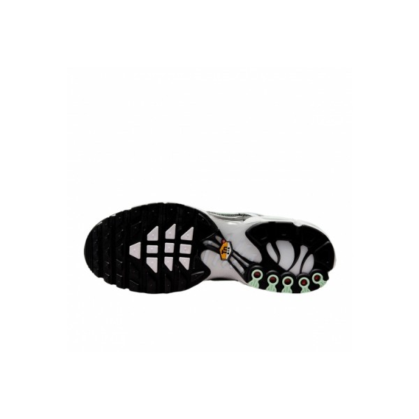 Nike Air Max Plus Black Black Mint Green DH4776-100