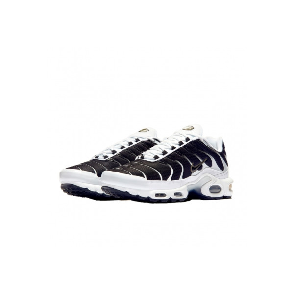 Nike Air Max Plus Black Black Metallic Pewter CT1094-102