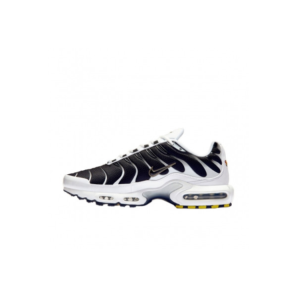 Nike Air Max Plus Black Black Metallic Pewter CT1094-102