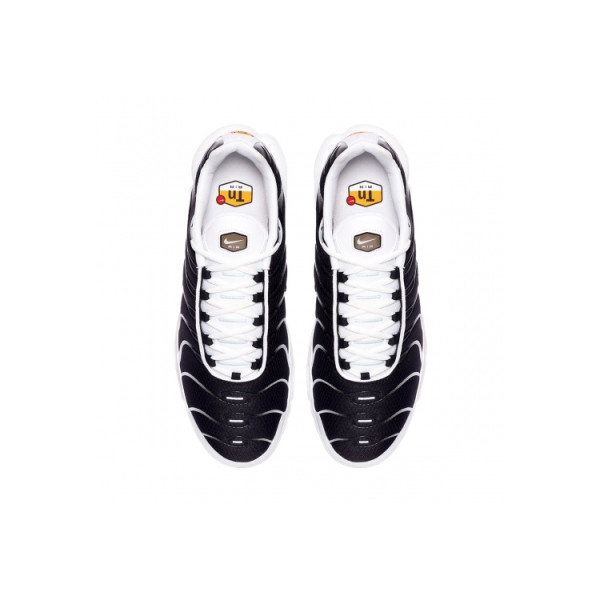 Nike Air Max Plus Black Black Metallic Pewter CT1094-102