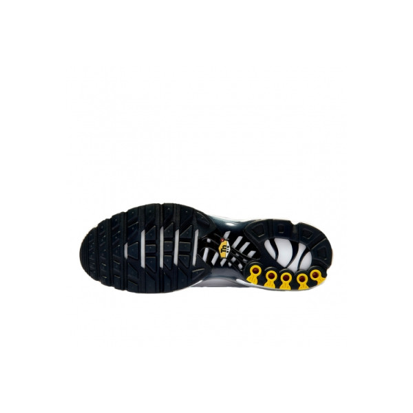 Nike Air Max Plus Black Black Metallic Pewter CT1094-102