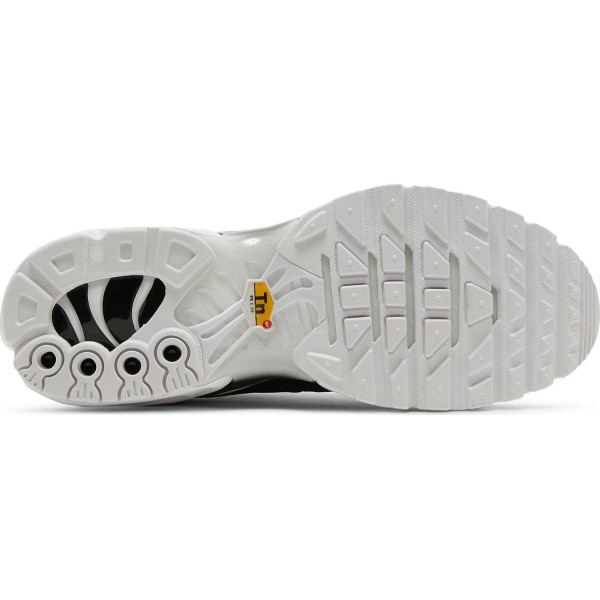Nike Air Max Plus Black White DM2362-001
