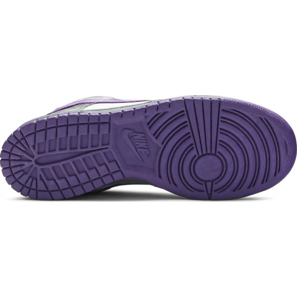 Nike Dunk Low Pro SB Purple Pigeon
