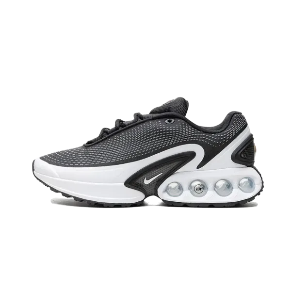 Nike Wmns Air Max DN Black White FJ3145-002