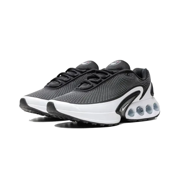 Nike Wmns Air Max DN Black White FJ3145-002