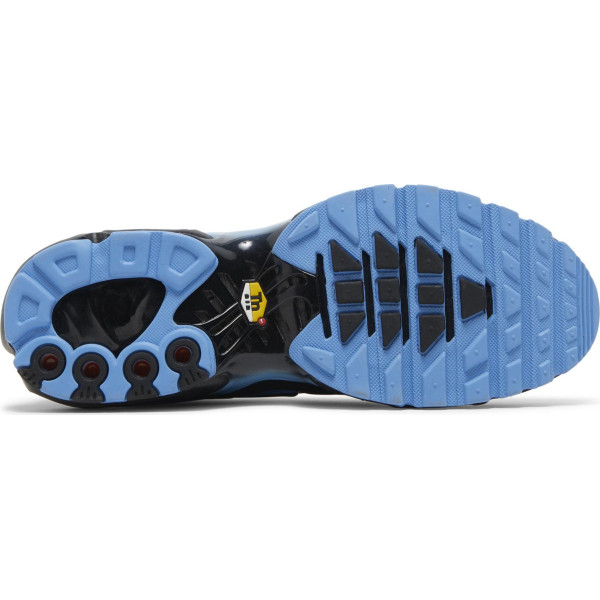 Nike Air Max Плюс Black University Blue DM0032-005