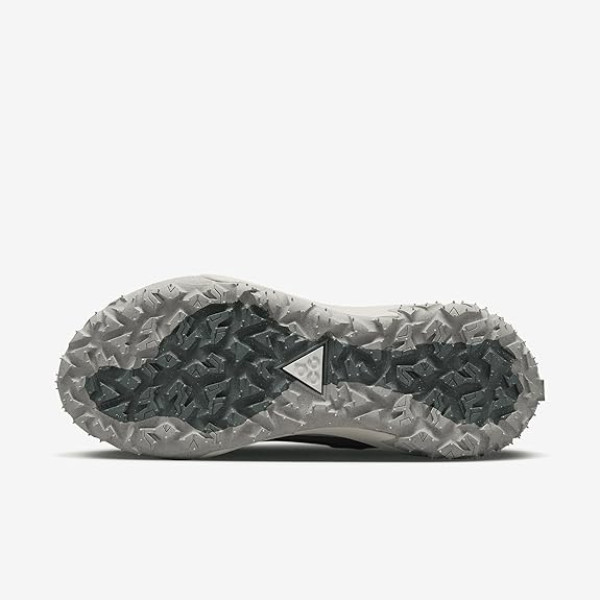 Nike ACG Mountain Fly Low 2 Bicoastal DV7903-300