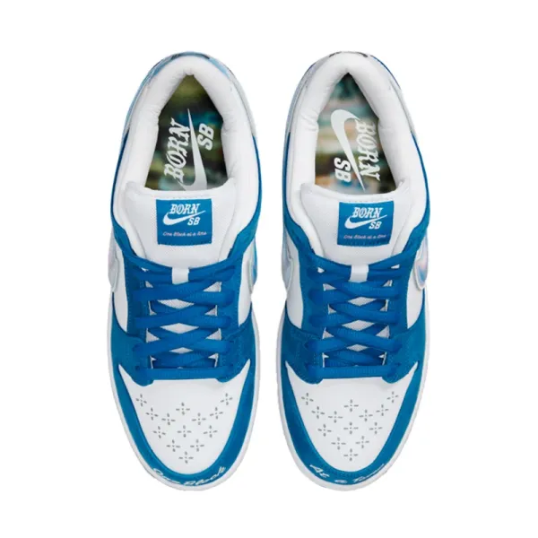 Nike SB Dunk Low x Born x Raised FN7819-400
