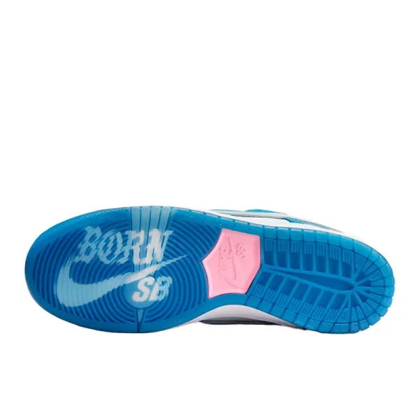 Nike SB Dunk Low x Born x Raised FN7819-400
